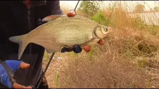 🎣 Wild Countryside Fishing Challenge | Can Skill Beat Nature? 🌿