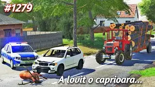 Roleplay pe Dumesti///AM FĂCUT O ÎNCĂRCĂTURĂ PREA MARE [1279]-Farming Simulator 19