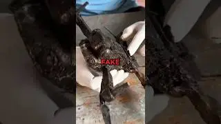 FAKE Drone Tech Restoration Video! 🛸