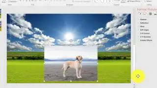 Removing Background Colors in Inserted Photos