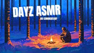 The Long Cold: A Relaxing & Brutal DayZ Journey (Background Play)