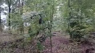 Deer and Drama at the Campgrounds,Accused of shooting 🔫 🙄 by a 🧌