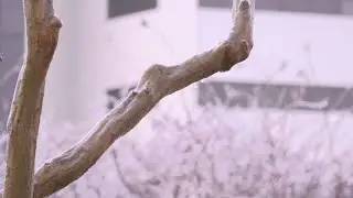 Crews work to clean up after weekend storm sweeps across US