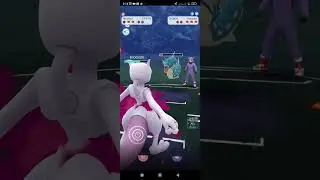 Excadrill VS Garchomp