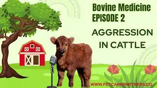 EP 2: Aggression in Bovines | Causes, Management & Veterinary Insights | Pet Care Partners