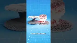 Может ли бомба вызвать ураган? 🤯