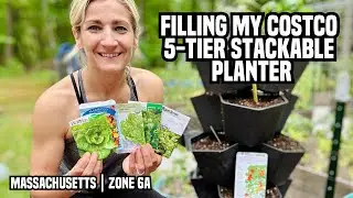 Filling My Costco 5-Tier Stackable Planter | Tomatoes, Basil, Lettuce & More!