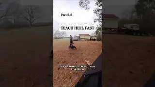 TEACH HEEL FAST - Part 5/5. Ft. Peque
