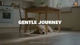 Gentle Journey &ndash; Dog Music Therapy | Separation Anxiety & Restful Sleep