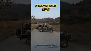 Dhela Zone Jungle Safari  / Jim Corbett National Park Jungle Safari