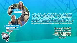 China's efforts in panda protection promote&nbsp;global biodiversity