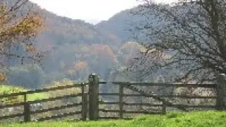 Gentle Autumn.