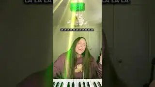Jellybean the hamster&rsquo;s solo 🥹🥹