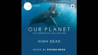 The Numbers Build | Our Planet: The Complete Collection OST