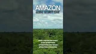 Amazon #amazon #brazil #global #security #crisis #world #future