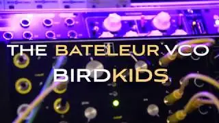 The Bateleur VCO-Birdkids simple sound demo in music