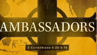 Ambassador(official audio) By:SYL Silk