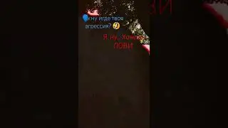 Признаюсь я агро дев кил #funk #music