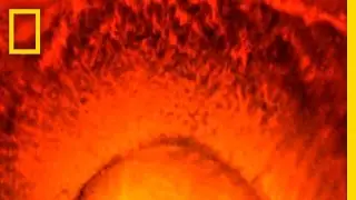 Рождение Солнечной системы | Голая наука: Рождение Солнечной системы