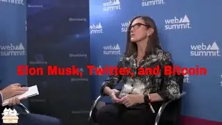 Disruptive Tech to Disruptive Investments: Why Cathie Wood is Banking on Elon Musk, Twitter, Bitcoin