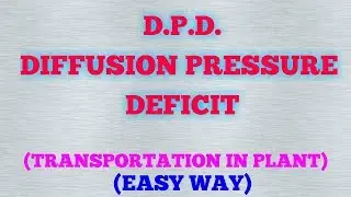 DIFFUSION PRESSURE DEFICIT (D.P.D.) / TRANSPORTATION IN PLANT (PART 3)