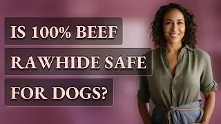 Is 100% beef rawhide safe for dogs?