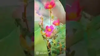 #shorts #timelapse #metaverse
