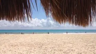 Occidental allegro playacar hotel