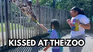 FAMILY FUN DAY AT THE ZOO! WE GOT TO FEED THE GIRAFFES!