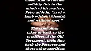 Daily Bible Verse Commentary  -  1 Peter 1:19