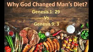 What Was God's Original Diet Plan Pt 2: The Reason Meat Was Added