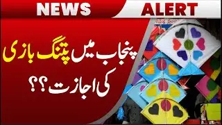 Kite flying allowed in Punjab? Important Decision by Punjab Government