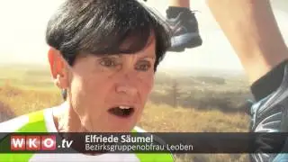 Wirtschaft bewegt &ndash; Leobner Laufevent