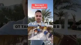Россиянин пытался убежать от таможенников в Шереметьево из-за пачек денег