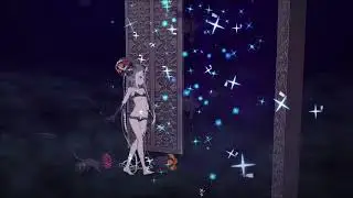 【Fate/Grand Order】Summer Abigail Williams Noble Phantasm