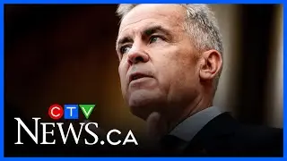 Canada dropping some tariffs against U.S. 'an excellent move' | Trade analyst