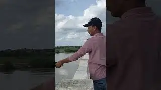 feeder throwing in river fishing tips and techniques feeder fishing videos #fishing #shorts #fish