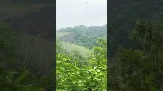 Feel the beauty of mountain in Kerala | #nature #kerala #mountains #keralatourism