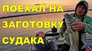 Рыбалка на судака в Центральной Финляндии + Жизнь в фургоне