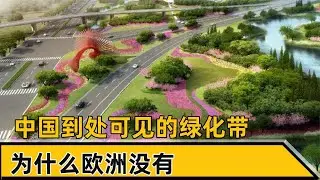 中国到处可见的绿化带，为什么欧洲没有，难道他们不需要吗