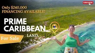 San Pedro Belize Beachfront Land for Sale | Caribbean Front Lot w/ Seller Financing