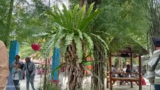 live stream di Umbul Square