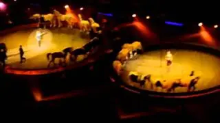 RINGLING BROTHERS CIRCUS - start horses