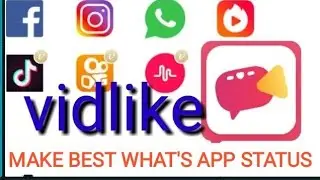 How to Download Facebook Video, Musically Video, Tik tok Video, Make WhatsApp Status - VidLike