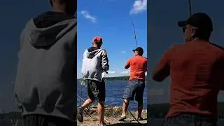 Пойман ДИКИЙ САЗАН река ДНЕПР #fishing #рыбалка2023 #fish #class #div #рыбалка #сазан #дикарь #успех