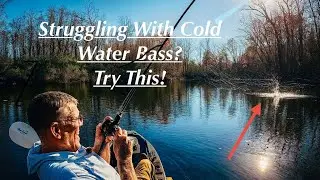 Struggling With Cold Water Bass Fishing? Try This!