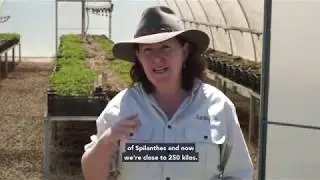 From Seed to Skin: The Nutri-Define Farm Story