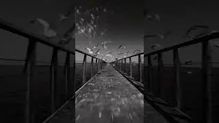 Loneliness whatsapp status video || #shors #feeling #alone😶 feeling Lonely Whatsapp status #sad