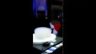 Magic Mike & The Magic Flogo