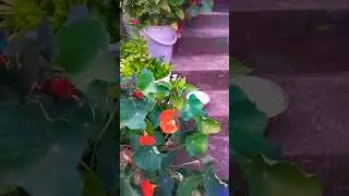 Утро с красоты
